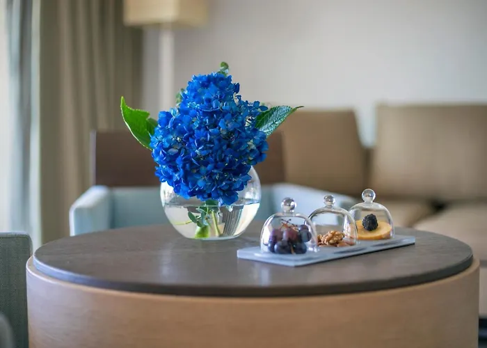 Capovaticano Thalasso 酒店